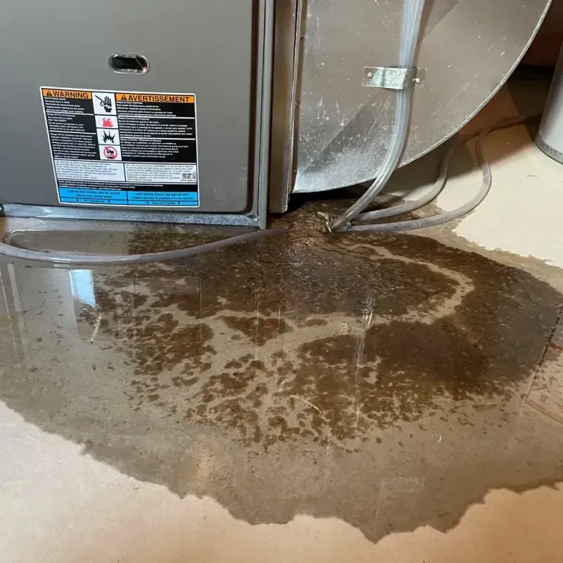 Appliance Leak Cleanup in Edgewood, KY